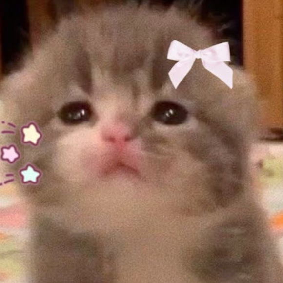 Meet your Posher, Elva - Picture 1 of 1